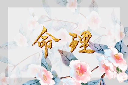 黄历2026年 2026年万年历黄历 老黄历择吉